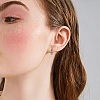 Enamel Striped Thick Hoop Earrings JE1110A-7