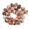 Natural Fire Crackle Agate Beads Strands G-K393-D01-10x14-3