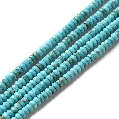 Natural Howlite Beads Strands G-C025-10B-1