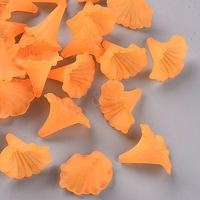 Transparent Acrylic Beads BSF796-C19-1
