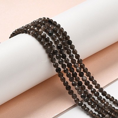 Natural Silver Sheen Obsidian Beads Strands G-E608-A02-B-1