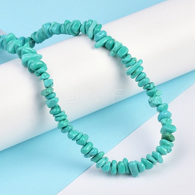 Natural Magnesite Beads Strands TURQ-P001-02A-07-1