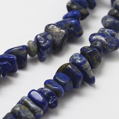 Natural Lapis Lazuli Beads Strands G-F328-21-1