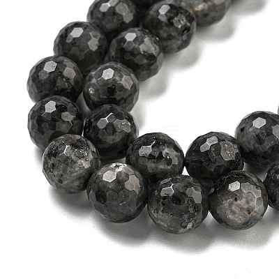 Natural Larvikite Beads Strands G-E571-A09-03-1