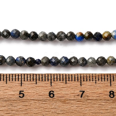 Natural Lapis Lazuli Beads Strands G-L629-B01-3mm-03-1