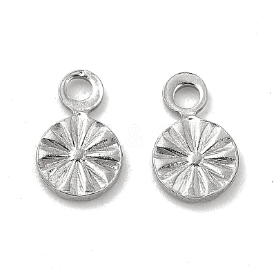 Non-Tarnish 304 Stainless Steel Charms STAS-P319-30P-01-1