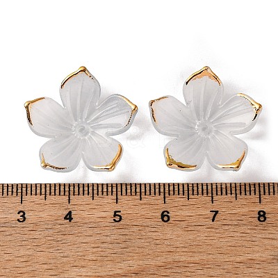 Transparent Acrylic Bead Caps TACR-P011-03D-1