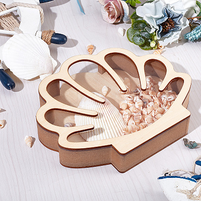 Shell Shaped Wooden Sea Shell Storage Display Cases with Visible Window ODIS-WH20012-01-1