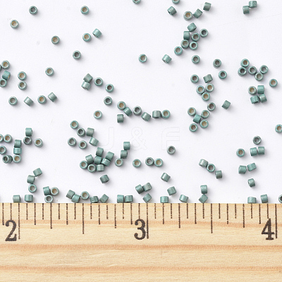 MIYUKI Delica Beads SEED-X0054-DB1847F-1