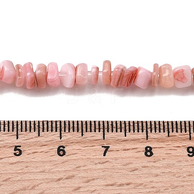 Natural Freshwater Shell Beads SHEL-B003-01N-1