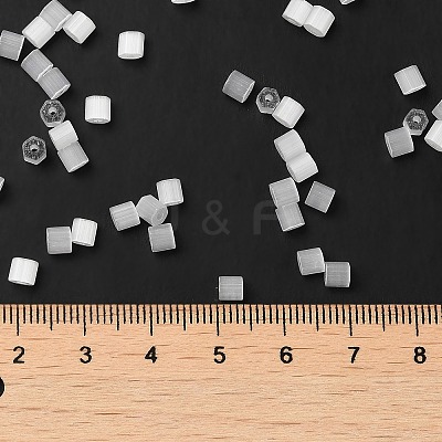 Glass Seed Beads X1-SEED-H002-D-A801-1