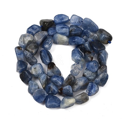 Natural Kyanite Beads Strands G-Q060-E17-1
