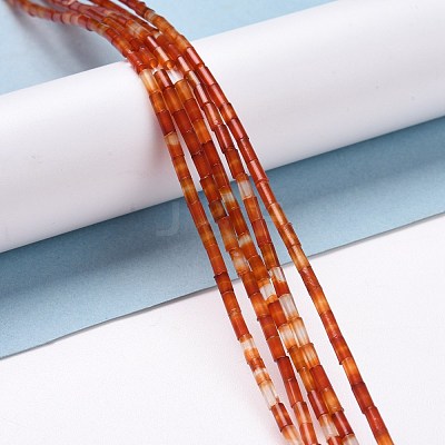 Natural Red Agate Beads Strands G-M389-01-1