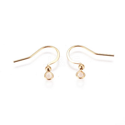 304 Stainless Steel Earring Hooks STAS-I120-22A-G01-1