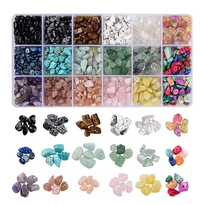 270G 18 Style Natural & Synthetic Gemstone and Shell Chip Beads G-FS0001-25-1