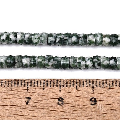 Natural Green Spot Jasper Beads Strands G-Q606-46A-07-1