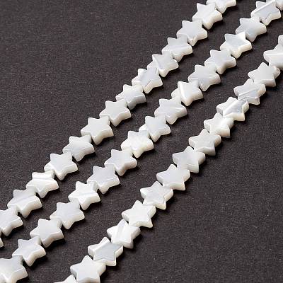 Natural Trochid Shell/Trochus Shell Beads SSHEL-O001-25B-02-1
