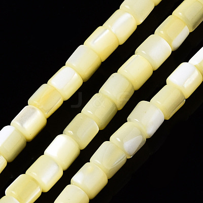 Natural Trochid Shell/Trochus Shell Bead Strands SSHEL-N034-77-C06-1