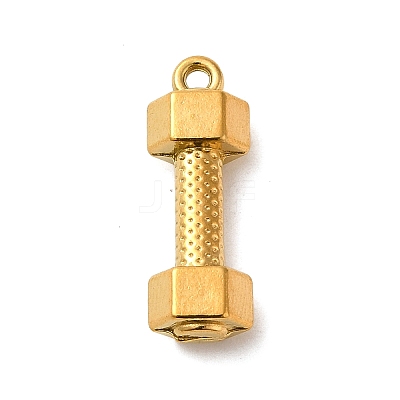 304 Stainless Steel Pendants STAS-K273-01G-1