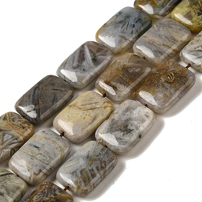 Natural Bamboo Leaf Agate Beads Strands G-NH0014-E01-01-1