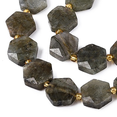 Natural Labradorite Beads Strands G-N368-01A-07-1