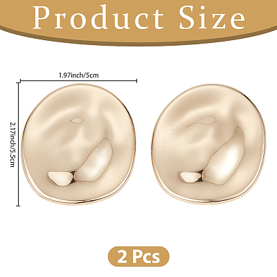 2Pcs Alloy Brooches JEWB-CP0001-58G-1