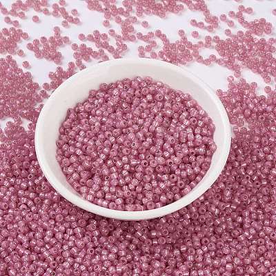MIYUKI Round Rocailles Beads X-SEED-G008-RR0556-1