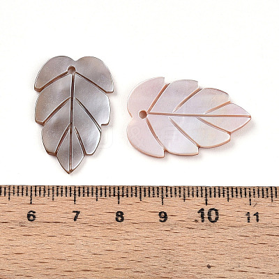 Natural Freshwater Shell Carved Pendants SHEL-N036-18-1