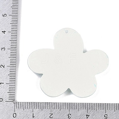 Acrylic Pendants OACR-Q100-14C-1