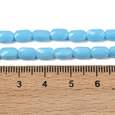 Opaque Glass Beads Strands GLAA-Z018-D20-1