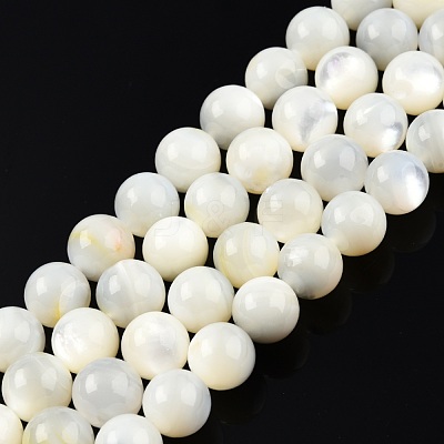Natural White Shell Bead Strands SSHEL-N003-144H-01-1