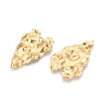 304 Stainless Steel Pendants STAS-N107-10G-1