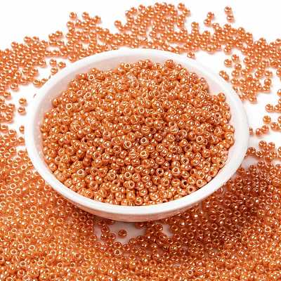 MIYUKI Round Rocailles Beads X-SEED-G008-RR0423-1