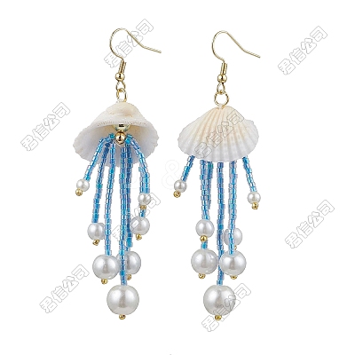 Handmade Seed Beads Tassel Dangle Earrings EJEW-FS00075-1
