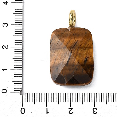 Natural Tiger Eye Faceted Pendants G-B186-01G-08-1