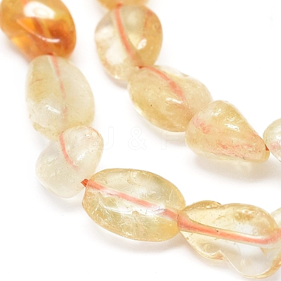 Natural Citrine Beads Strands G-D0004-A02-07-1