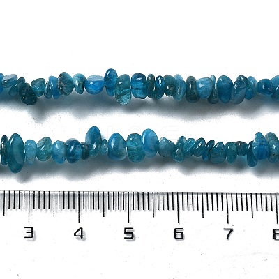 Natural Supper 7 Rutilated Quartz Chip Beaded Necklaces for Men Women NJEW-G159-01I-1