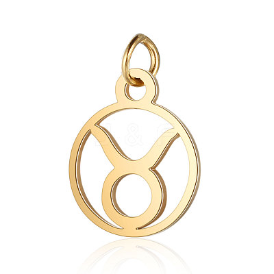 201 Stainless Steel Charms STAS-T036-T513-2-1