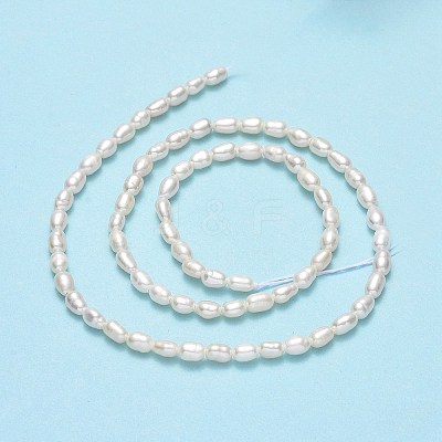 Natural Cultured Freshwater Pearl Beads Strands PEAR-J006-03E-1