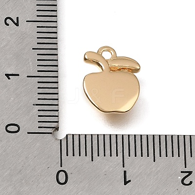 Brass Micro Pave Clear Cubic Zirconia Charms KK-N290-22G-1