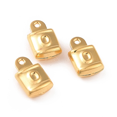 304 Stainless Steel Pendants STAS-D243-13G-1