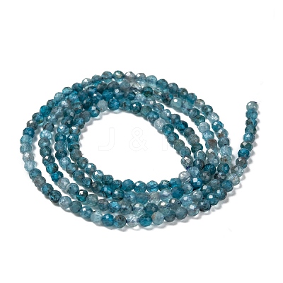 Natural Apatite Beads Strands G-K185-02-1