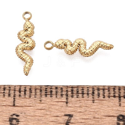 304 Stainless Steel Charms STAS-N125-24C-G-1