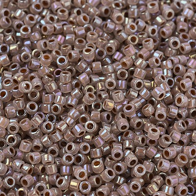 MIYUKI Delica Beads SEED-X0054-DB1749-1