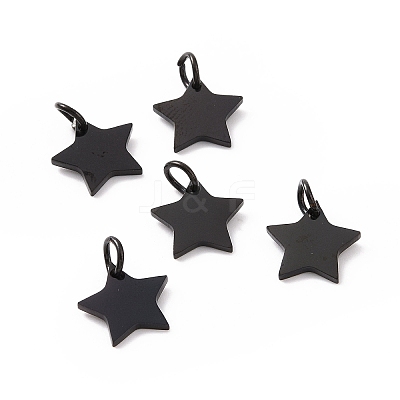 304 Stainless Steel Charms STAS-Q201-T461B-1