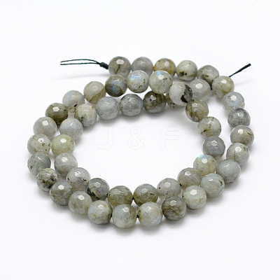 Natural Labradorite Beads Strands G-P322-28-8mm-1