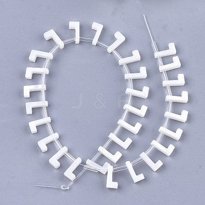 Natural Freshwater Shell Beads SHEL-T012-59L-1