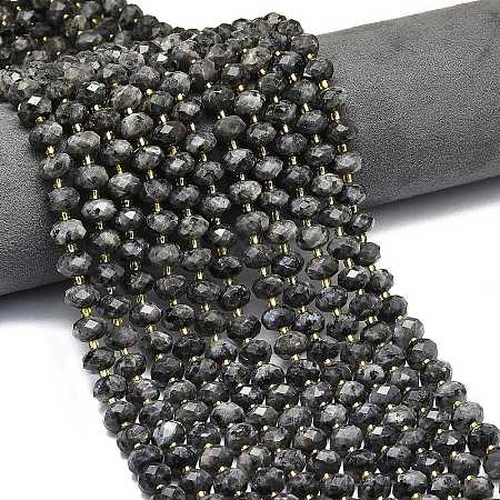 Natural Larvikite Beads Strands G-P573-A54-01-1