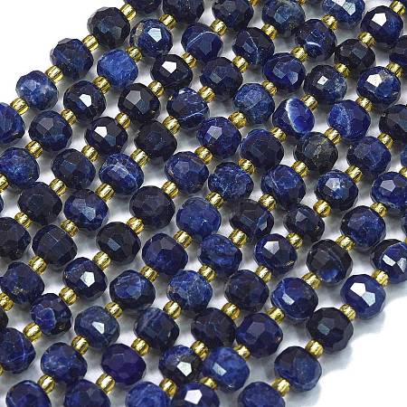 Natural Sodalite Beads Strands G-K389-E43-01-1