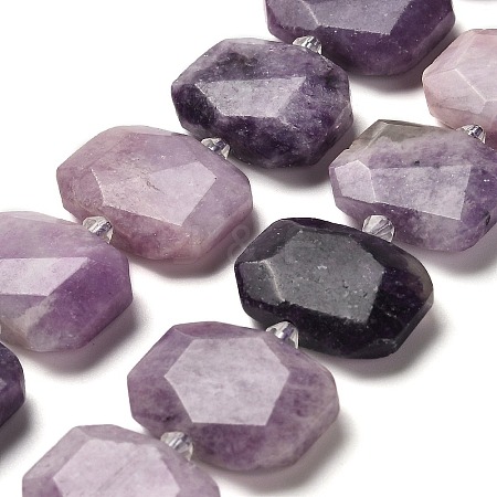 Natural Lepidolite Beads Strands G-H078-B14-01-1